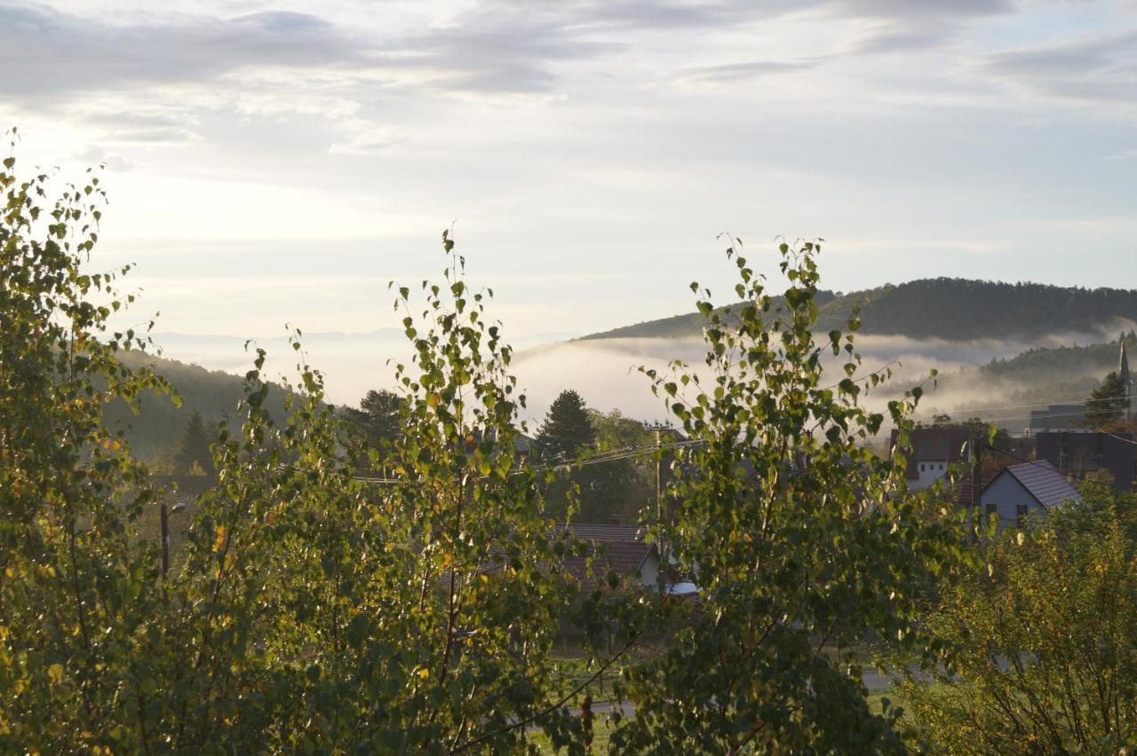 Gites Du Taennchel Thannenkirch Exterior foto